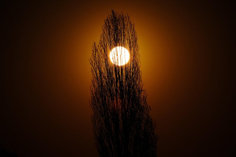 Super Moon